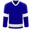 Tampa Bay Lightning
